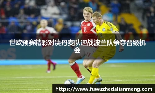 世欧预赛精彩对决丹麦队迎战波兰队争夺晋级机会